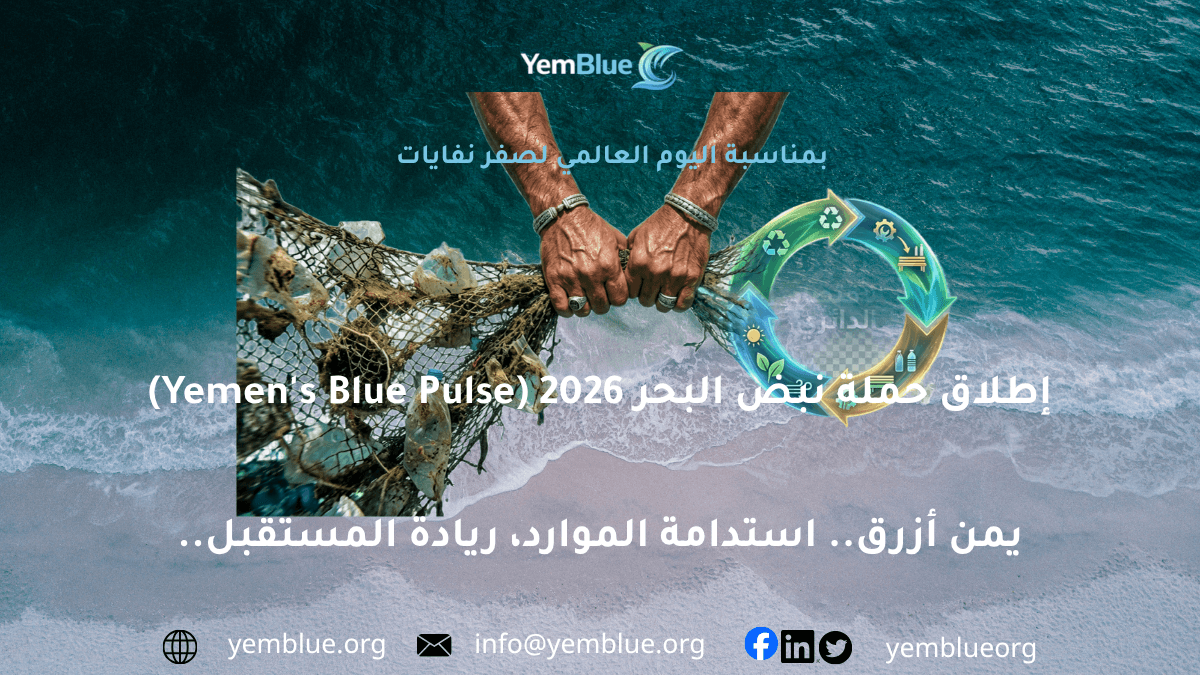 بالتزامن مع يوم صفر نفايات: يمن أزرق تطلق حملة نبض البحر 2026 لتعزيز الوعي بالاقتصاد الأزرق في اليمن