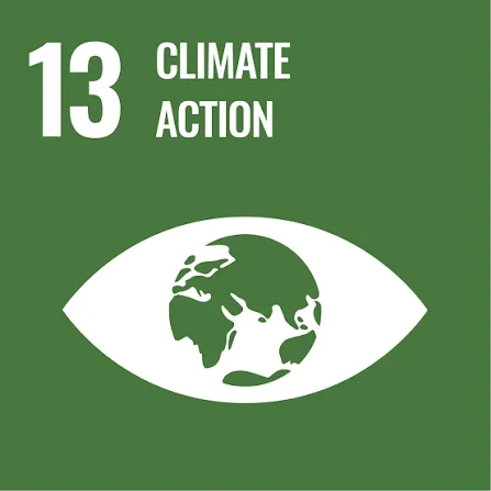 SDG 13